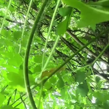 The last footage from a soldier of the Armed Forces of Ukraine