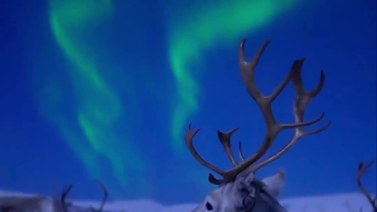 Polar night in Tromsø, Norway.