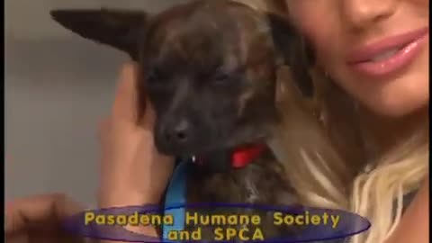 The Price is Right (Featuring Rachel Reynolds, Gabrielle Tuite and Lanisha Cole)