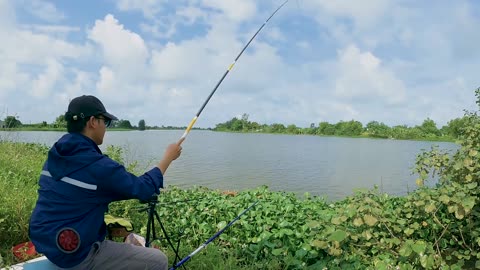 Karpfen im Abendlicht Angeln am Fluss #Karpfenfischen #Angelzeit #Fischzeit