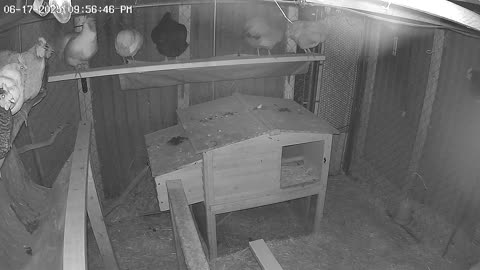 The Chicken Hut After Hours
