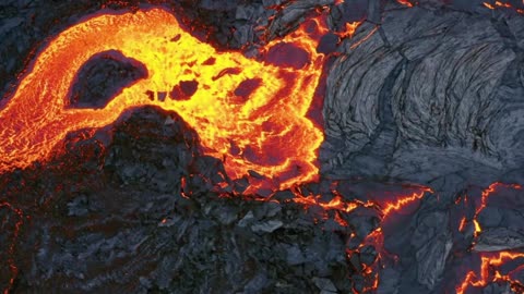 Crystal Lounge House Collection