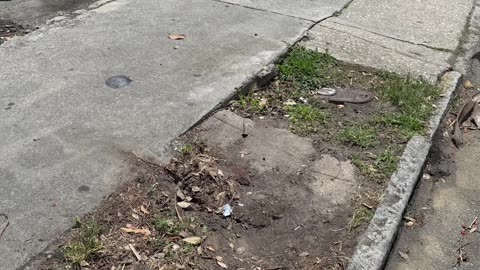 Satisfying Before and After Videos