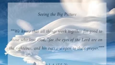 Seeing The Big Picture