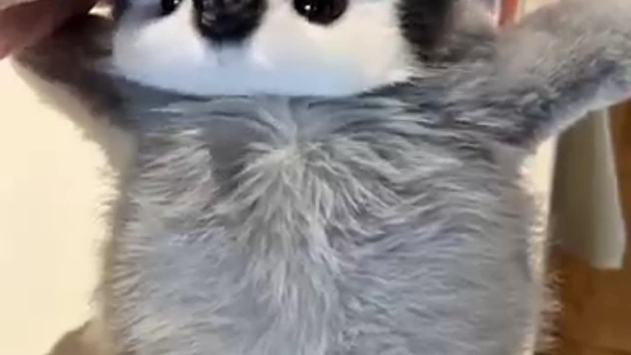 I can't hold it, i want to hug you