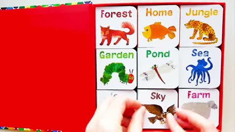 Read Aloud A Big Box of Little Books by Eric Carle | First Words for Toddlers with Gitte