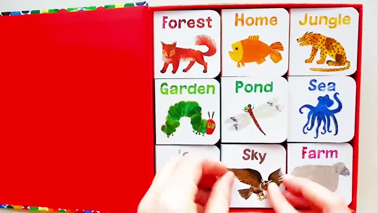 Read Aloud A Big Box of Little Books by Eric Carle | First Words for Toddlers with Gitte