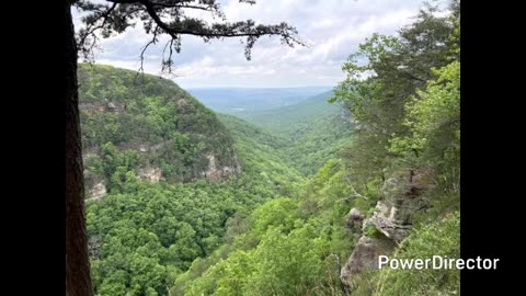 cloudland canyon state park