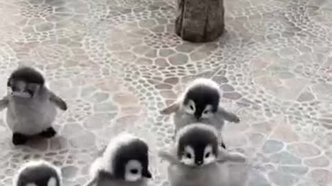 this is too cute i'll take one