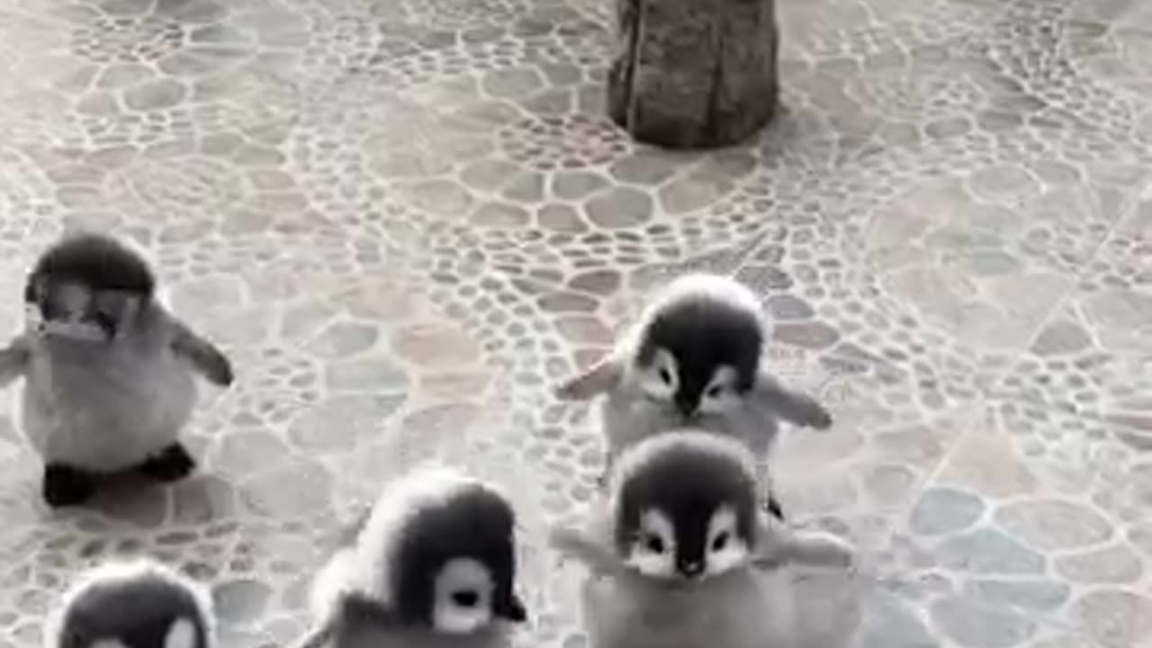 this is too cute i'll take one