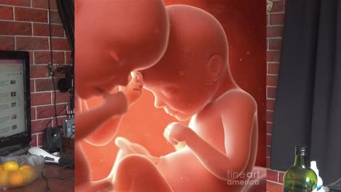 Mothers- just a wee story about these amazing creatures