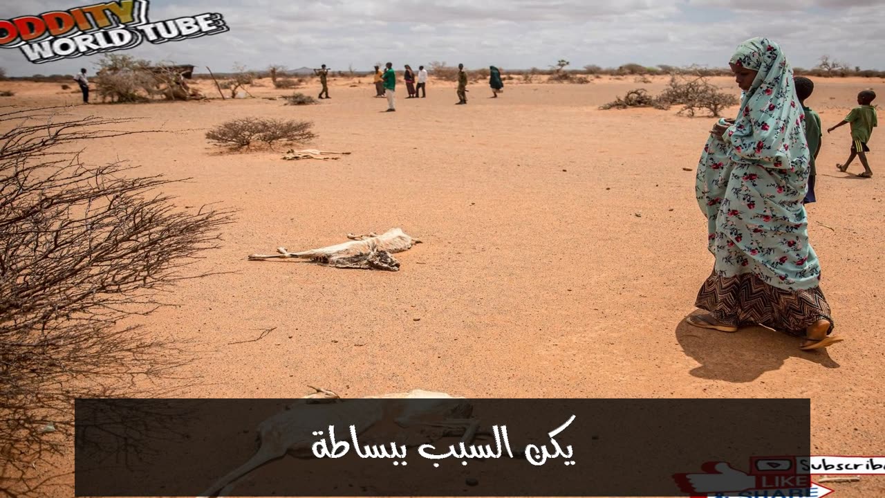 أخطر 10 مجاعات: أسرارٌ مُرعبة