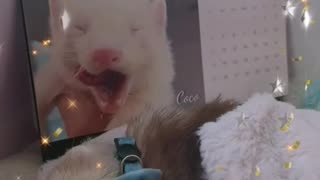 Happy New Year 🎊🥳🎉