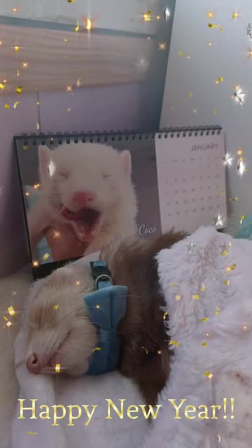 Happy New Year 🎊🥳🎉