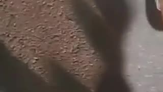 😂💥 Instant Regret After This Shocking Worker Attack! | FunFM