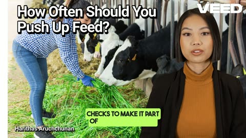 How Often Should You Push up Feed:Unlocking the Secret to Higher Milk Yiels & Healthier Herds