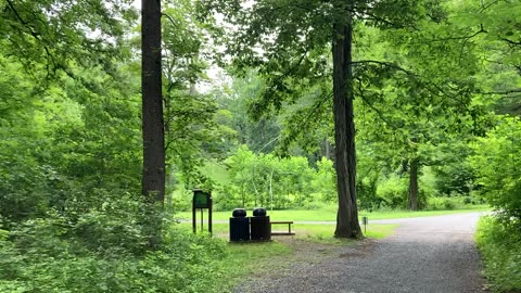 Storm King Arts Center (Orange County, New York) 1