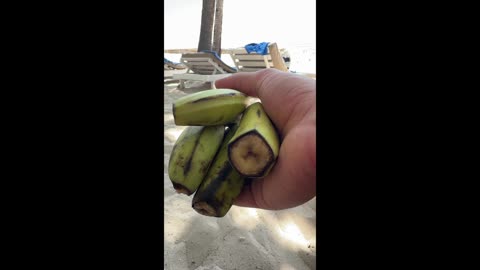 Nejlepší banány jsou ty původní