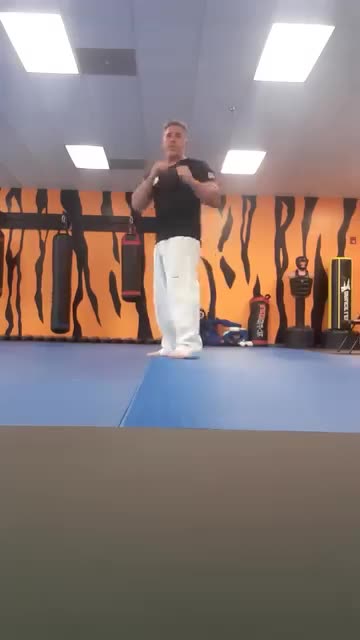 Spinning Hook Kick
