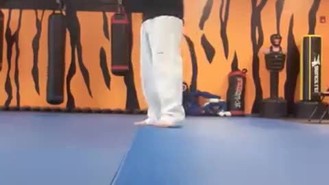 Spinning Hook Kick