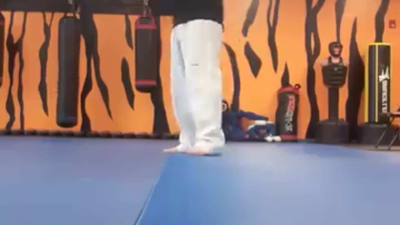 Spinning Hook Kick