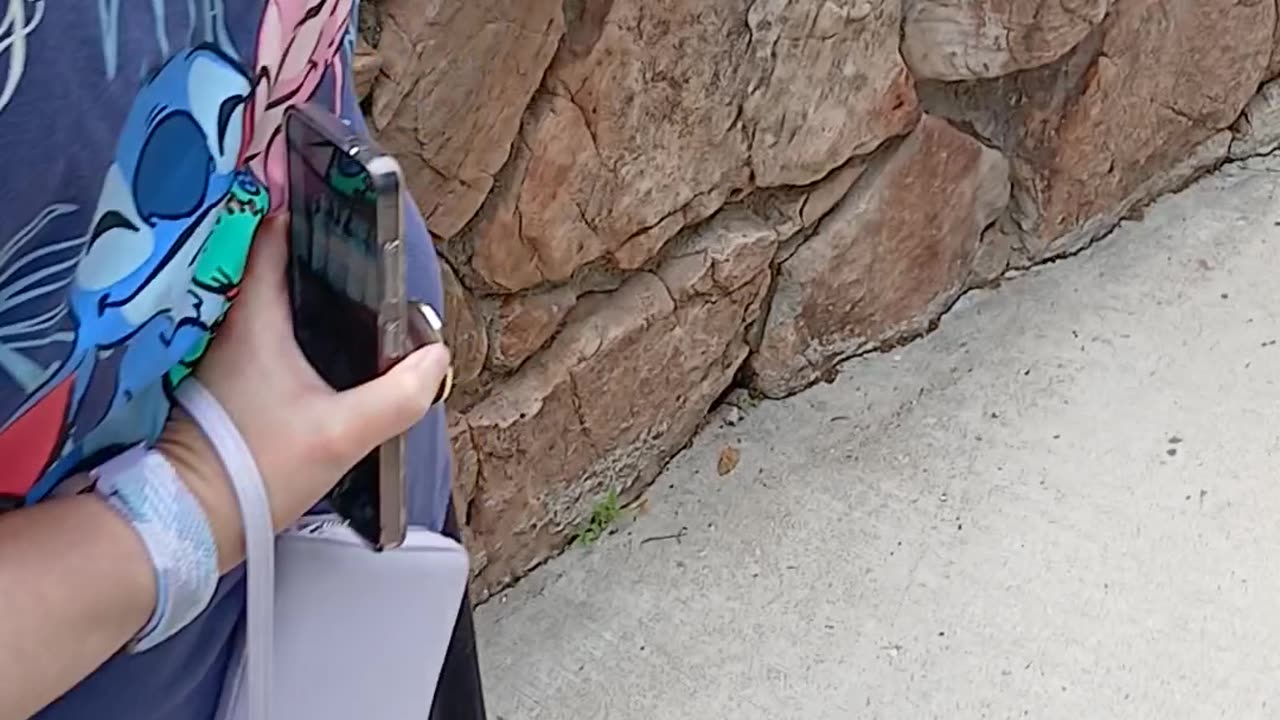 May 2025 Pueblo Zoo Trip Part 7