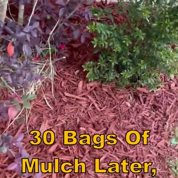 HOA Harassing Me About Landscaping - 30 Bags Of Mulch Later.... #hoa #nagging