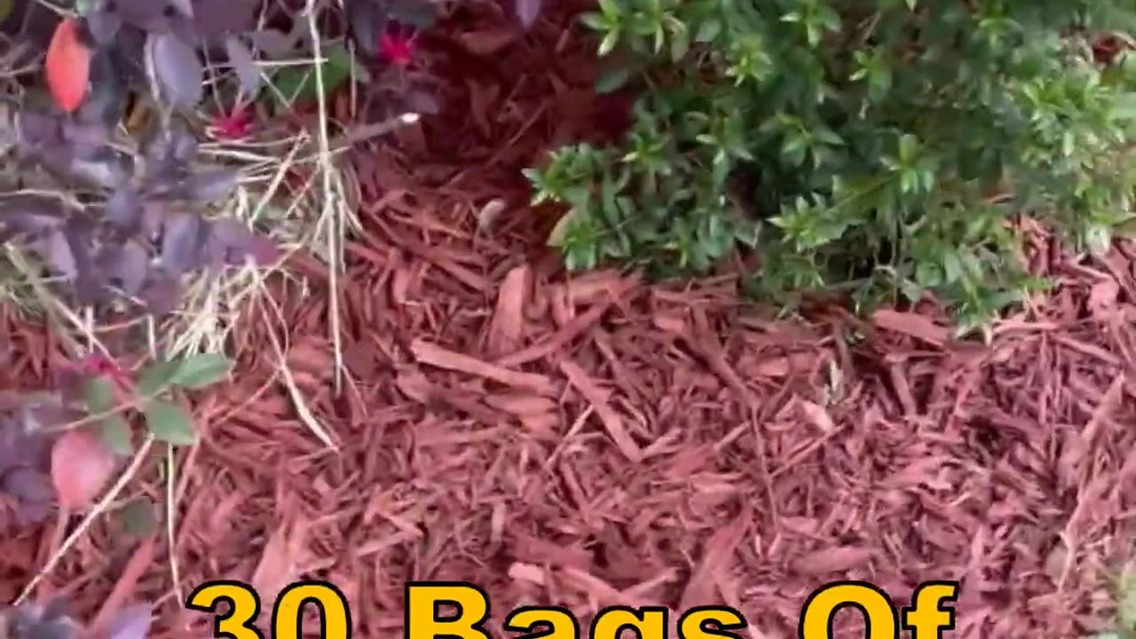 HOA Harassing Me About Landscaping - 30 Bags Of Mulch Later.... #hoa #nagging