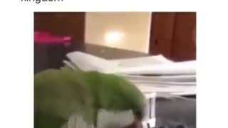 News Break