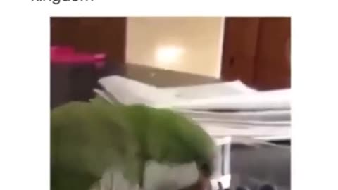 News Break