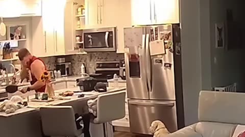 Funny Videos