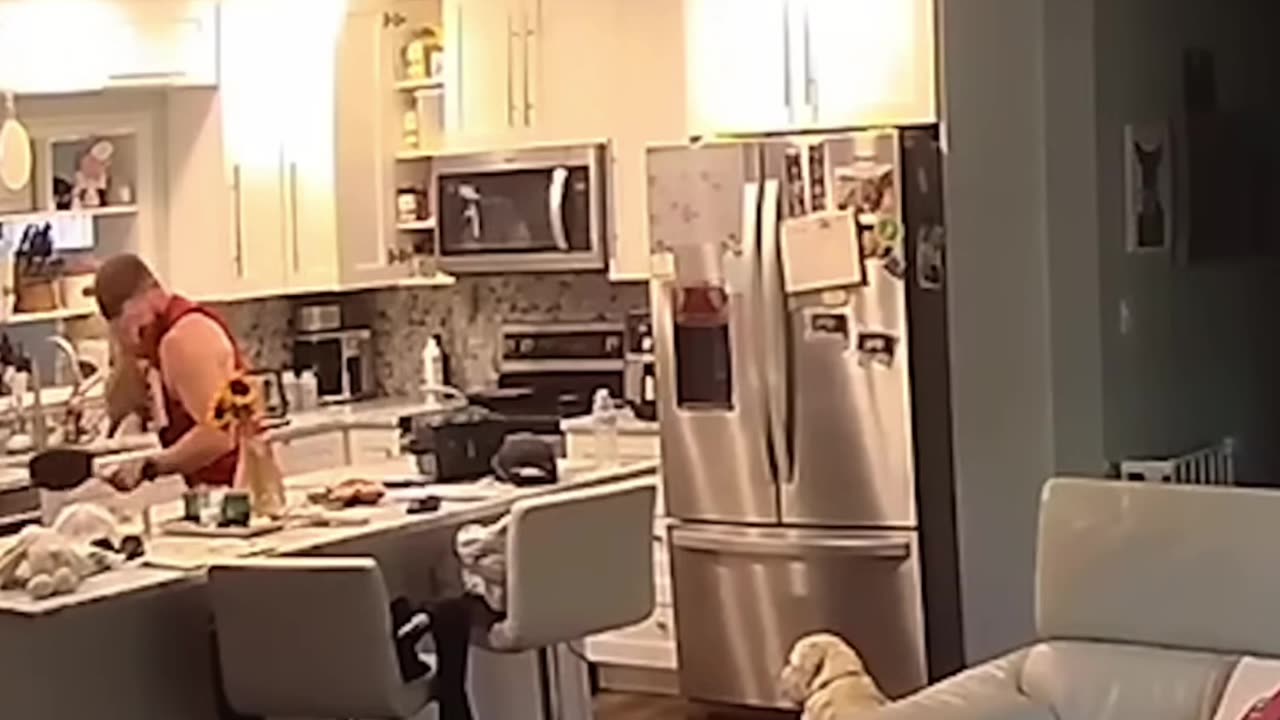 Funny Videos