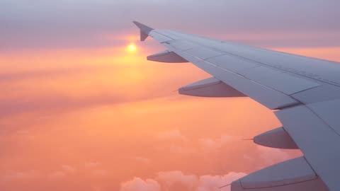 About the Journey