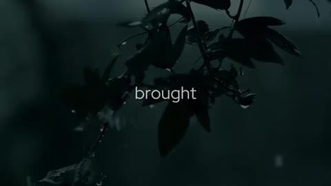 🌙🙏 Bedtime Prayer | Rest in God's Peace Tonight | InGodWeTrustDaily