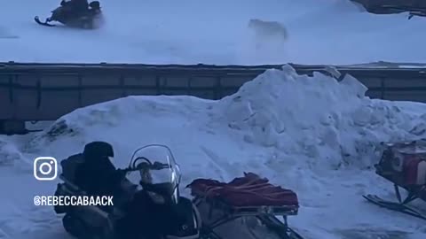 Somewhere In Alaska