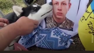 🐕🇺🇦 Ukraine Russia War | Soldier Dmytro Boichuk's Dog Mourns at His Grave | RCF