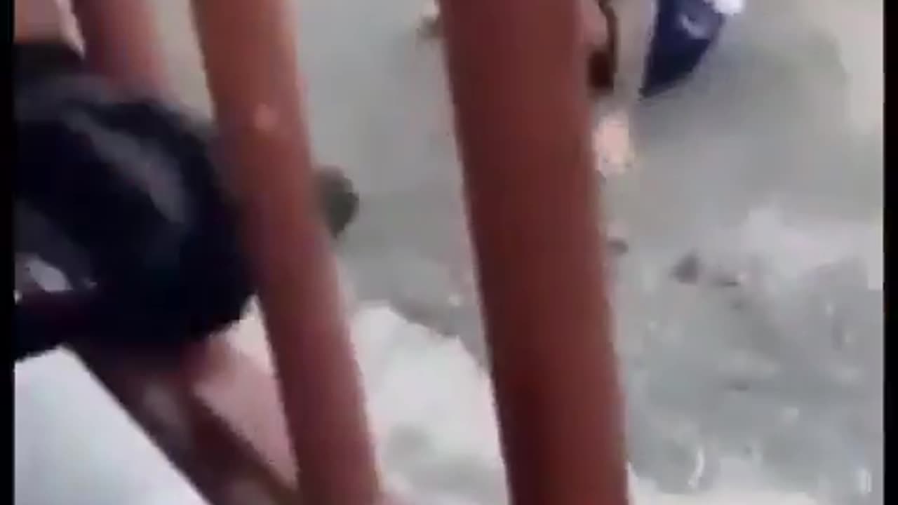 FOR FUCK SAKE THAT WAS LOOKED LIKE A KID ANOTHER SPANIS BULL ABUSING FESTIVITY SOMEONE FUCKED UP