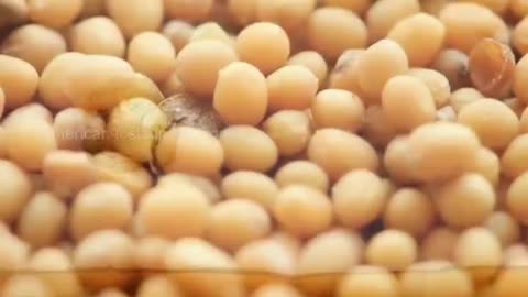 2400 year-old secret for lung congestion