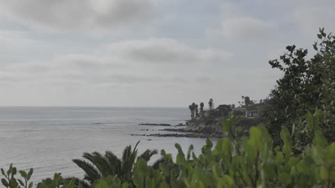 A Chill Into the Sun View at La Jolla Hermosa Park #zen #chill #ocean San Diego California