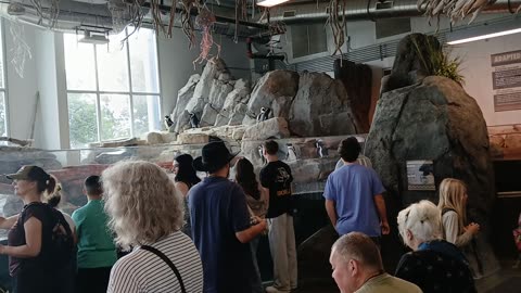 Cheyenne Mountain Zoo Part 1