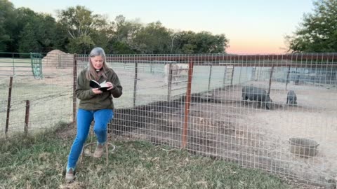 Morning Prayer, Daily Office