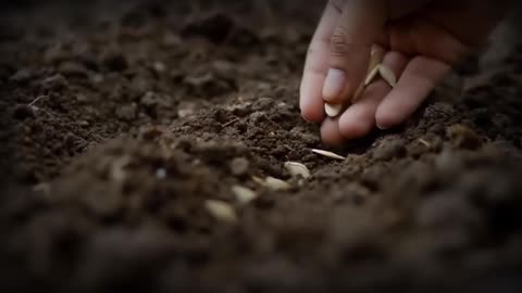 Indigenous Tribes Called this Plant "The Life Giver" - Scientists Call it a Weed