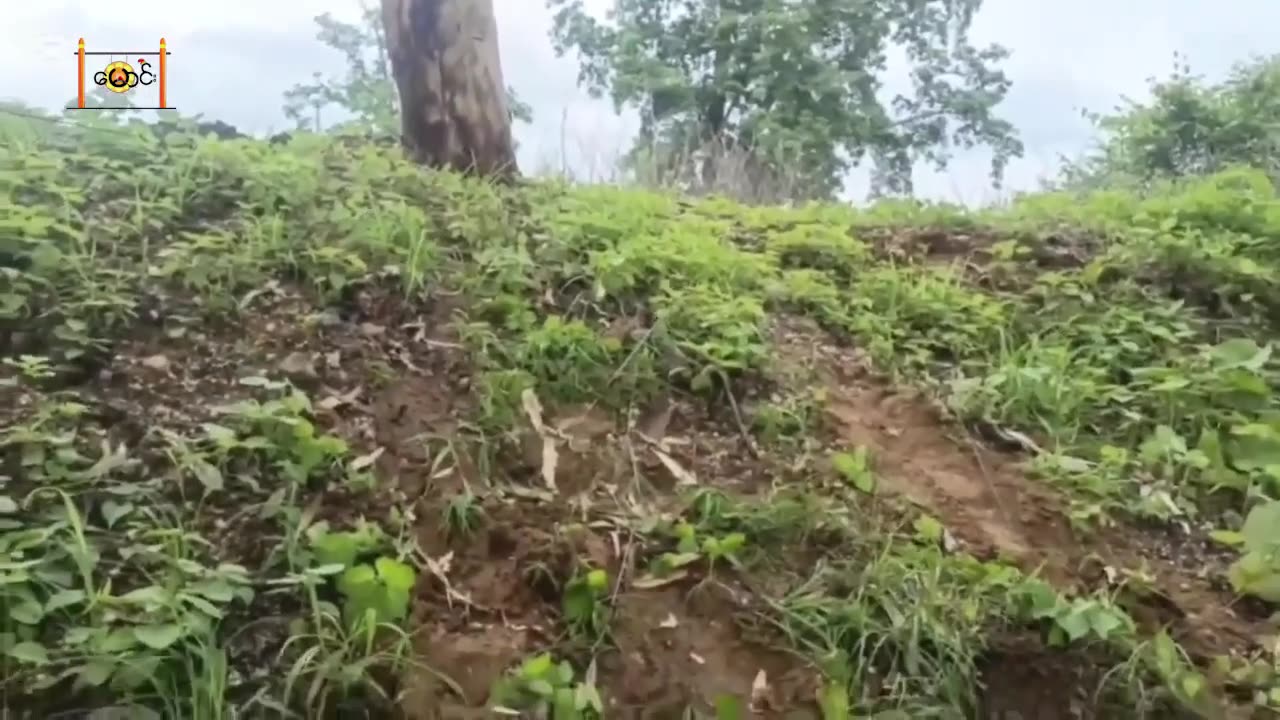 ⚔️🔥 Myanmar War | Deadly Ambush in Pwintbyu Township Kills 2 Soldiers | RCF