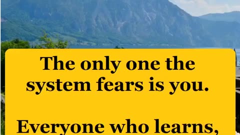 The only one the system fears is you.
