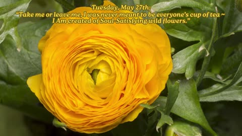 Not Your Cup of Tea ~ Tuesday, May 27, 2025 Numerology @ a Glance!