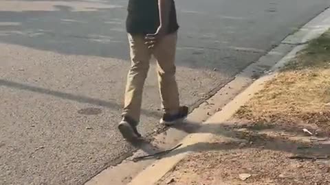 🤣💨 You Won't Believe This Hilarious Running Technique! | FunFM