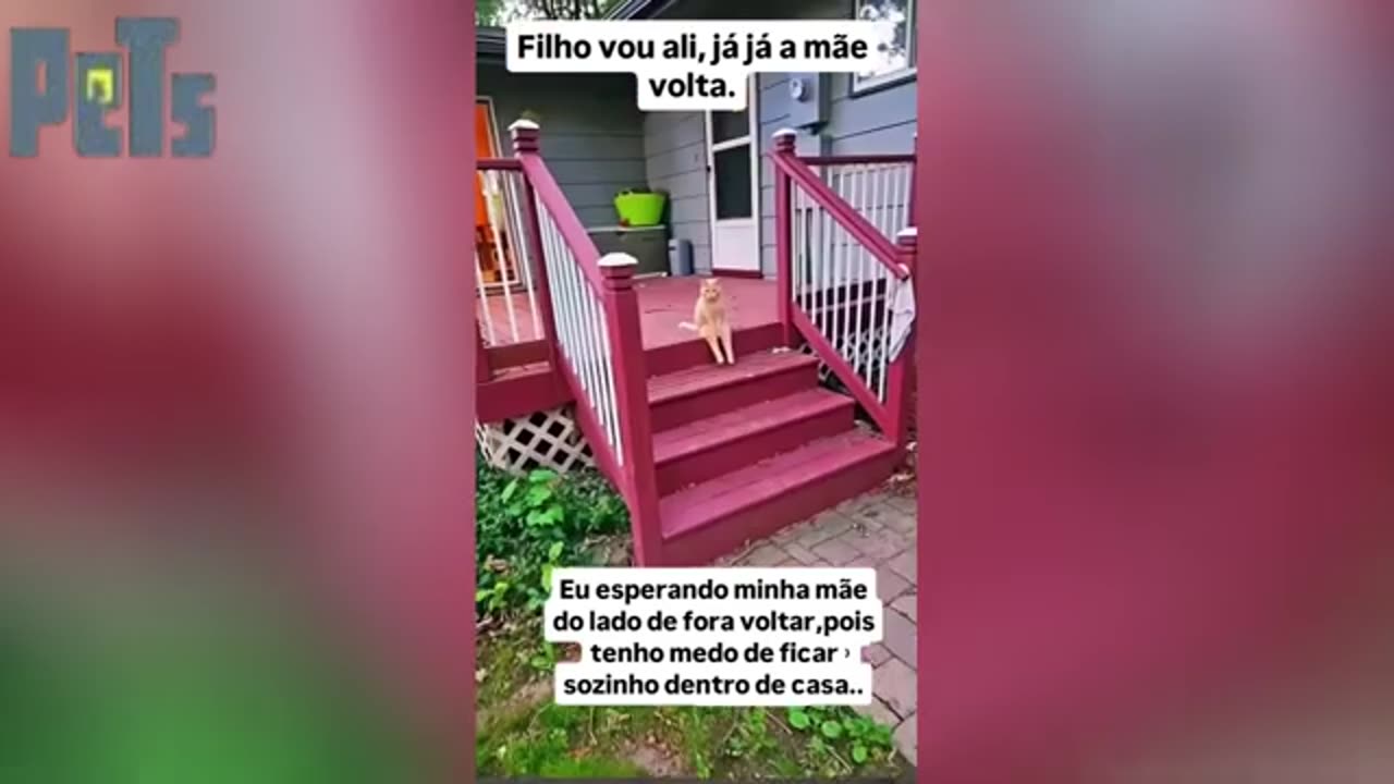The Best Of The Internet