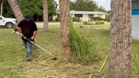Property Cleanup Uncovers Huge Hazard Posing Risk to the Community P8