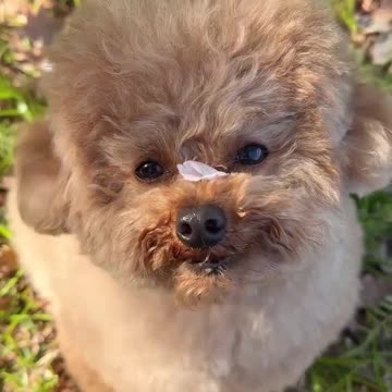 I love you says the little guy