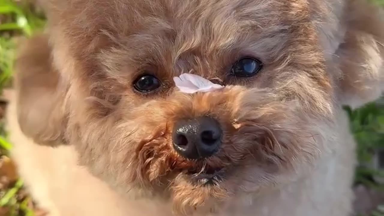 I love you says the little guy